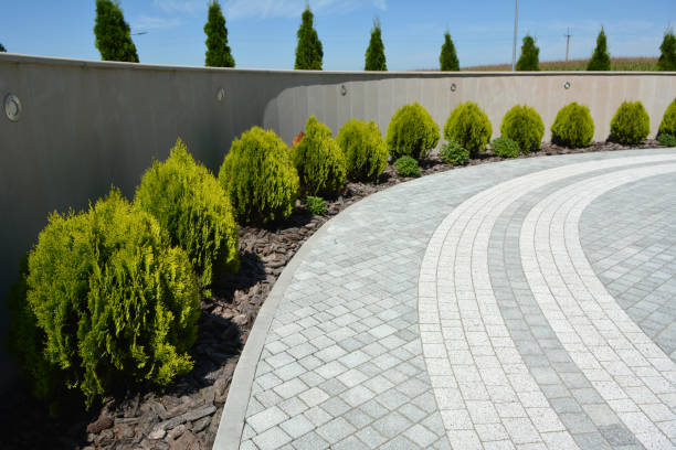 Best Decorative Driveway Pavers  in Livermore, CA